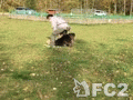 動画:サッカー前半戦